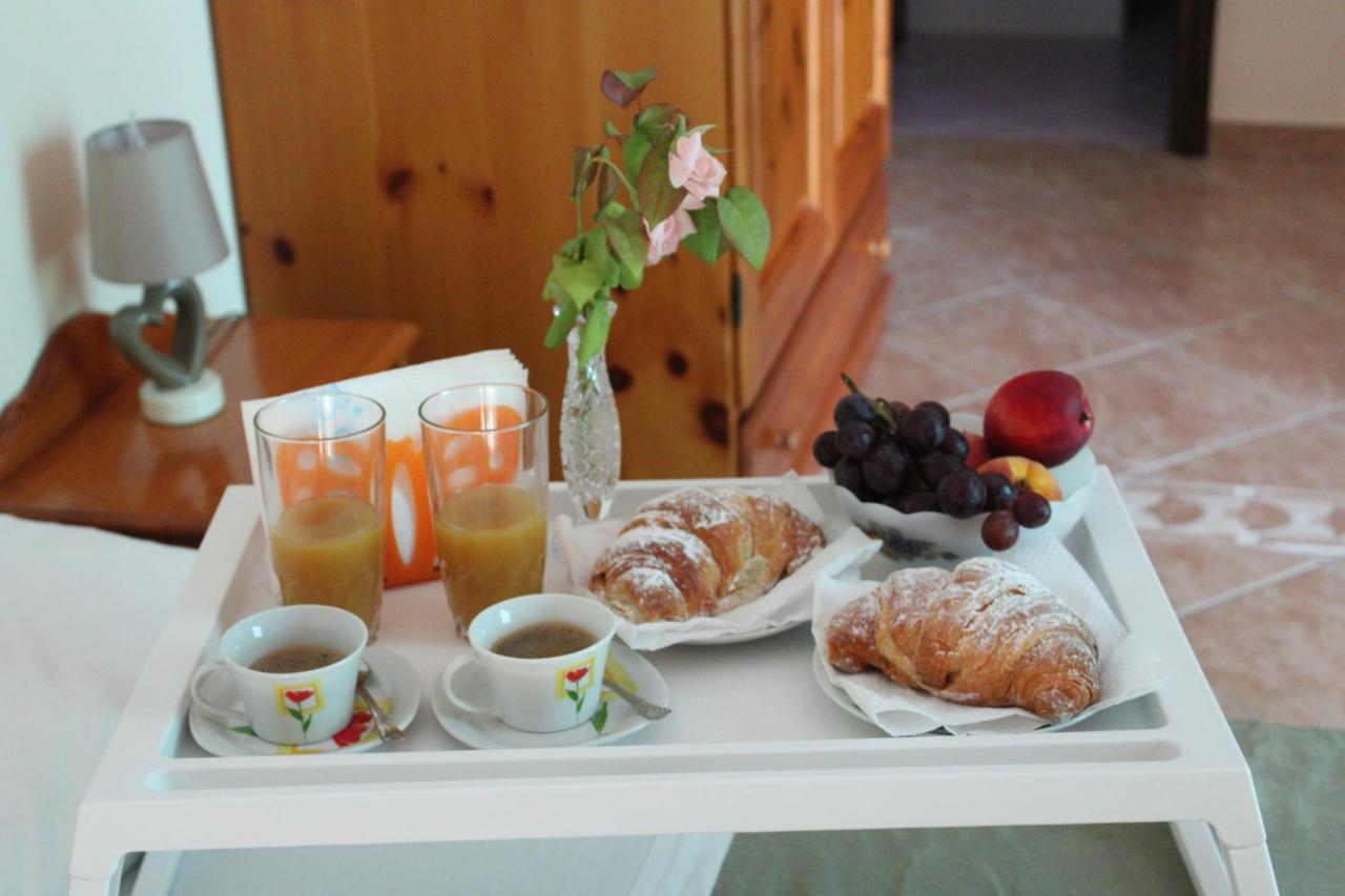 Bed and Breakfast La Collina Santa Maria Del Cedro Zewnętrze zdjęcie