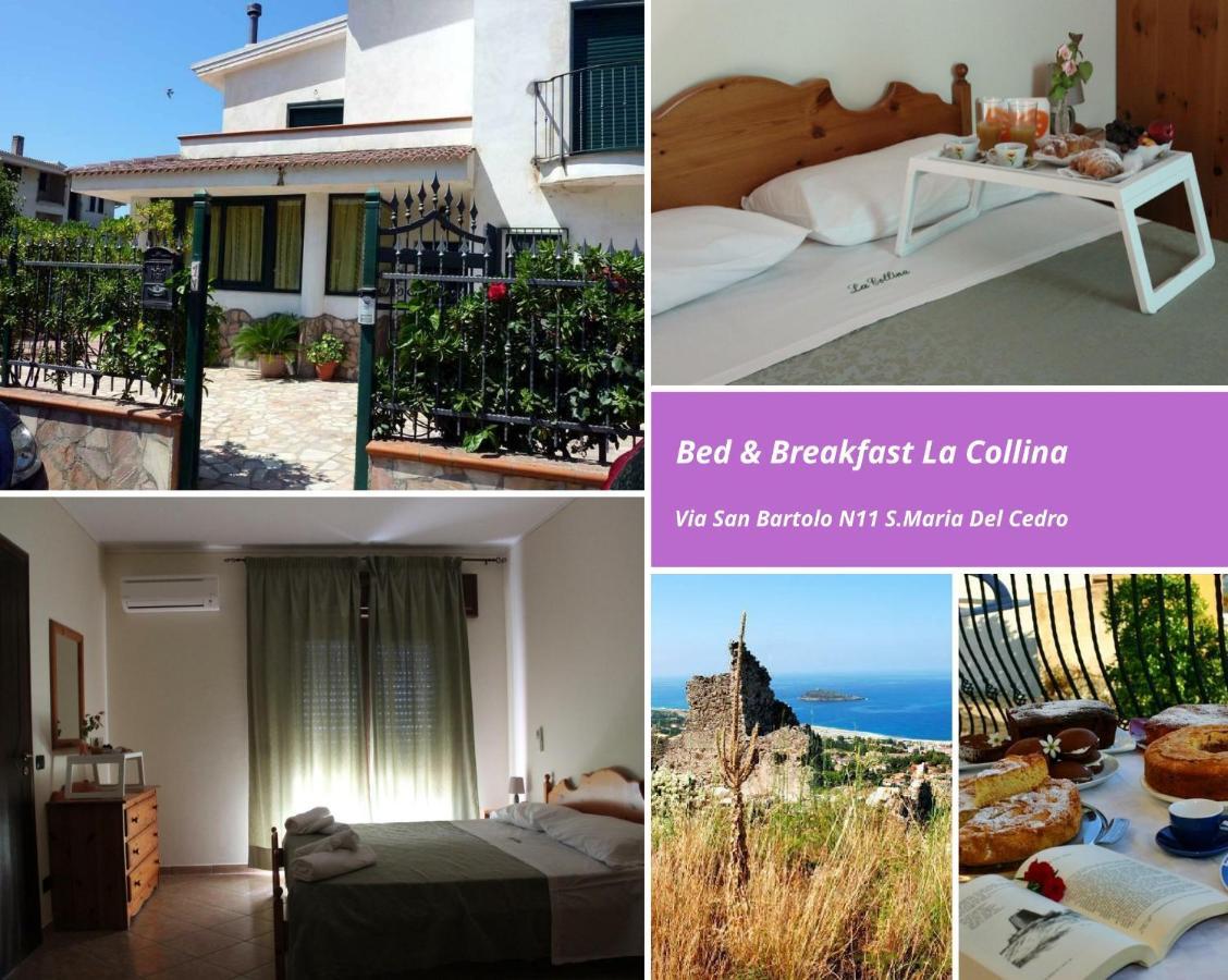 Bed and Breakfast La Collina Santa Maria Del Cedro Zewnętrze zdjęcie