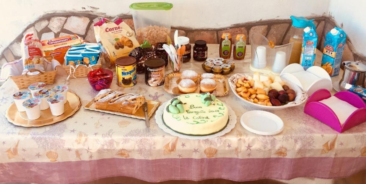 Bed and Breakfast La Collina Santa Maria Del Cedro Zewnętrze zdjęcie