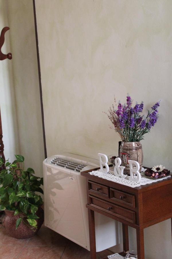 Bed and Breakfast La Collina Santa Maria Del Cedro Zewnętrze zdjęcie